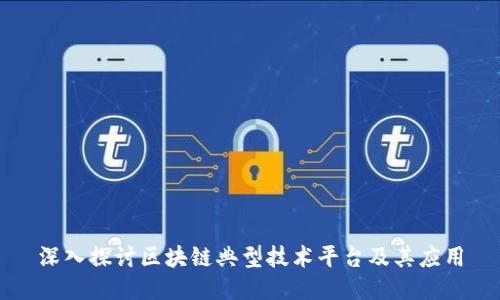 深入探讨区块链典型技术平台及其应用