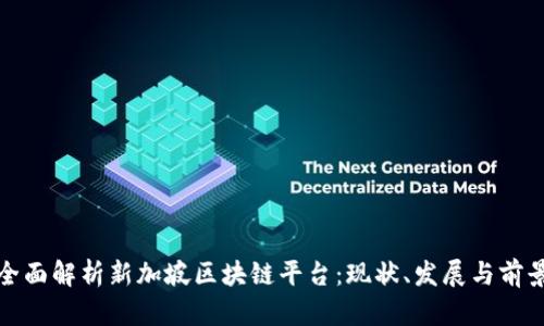 全面解析新加坡区块链平台：现状、发展与前景