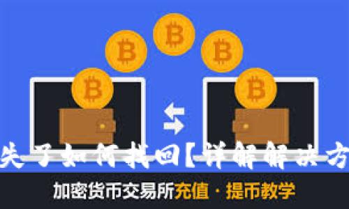 TP钱包转账丢失了如何找回？详解解决方案与预防措施