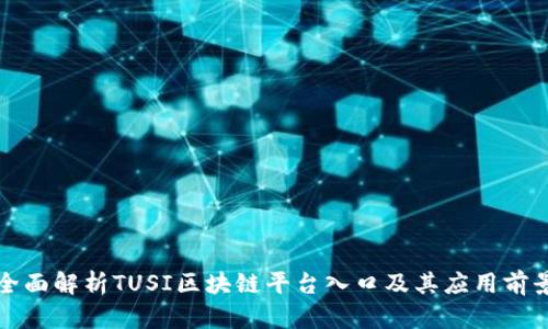 全面解析TUSI区块链平台入口及其应用前景
