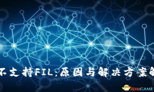 TP不支持FIL：原因与解决方案解析